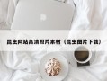 鹤岗昆虫网站高清照片素材（昆虫图片下载）